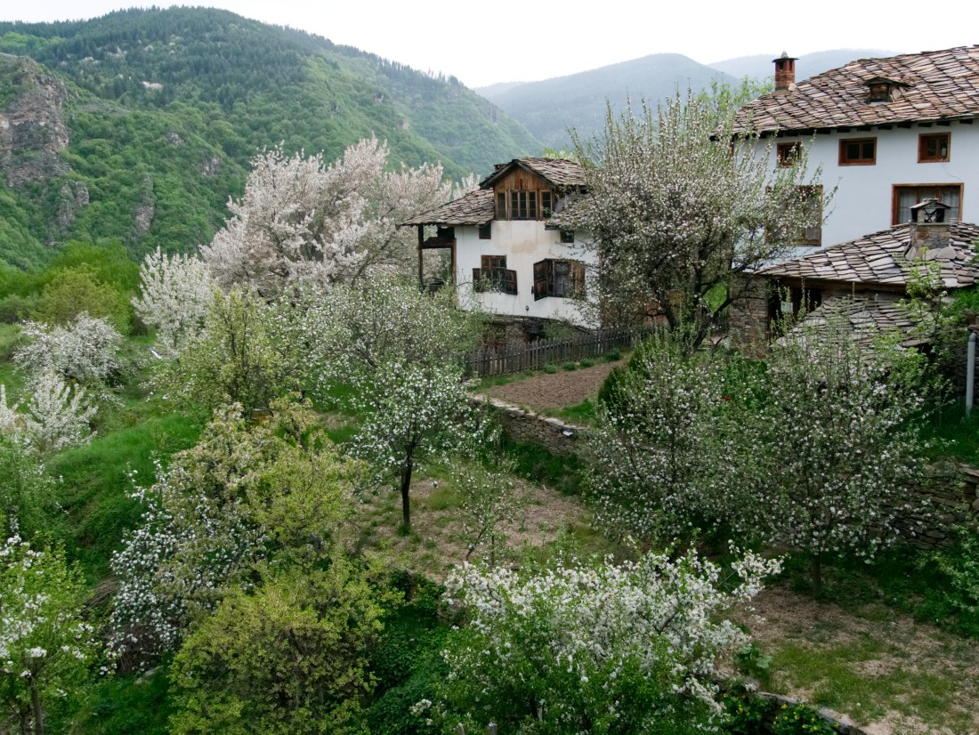 0501_006_Kovachevica