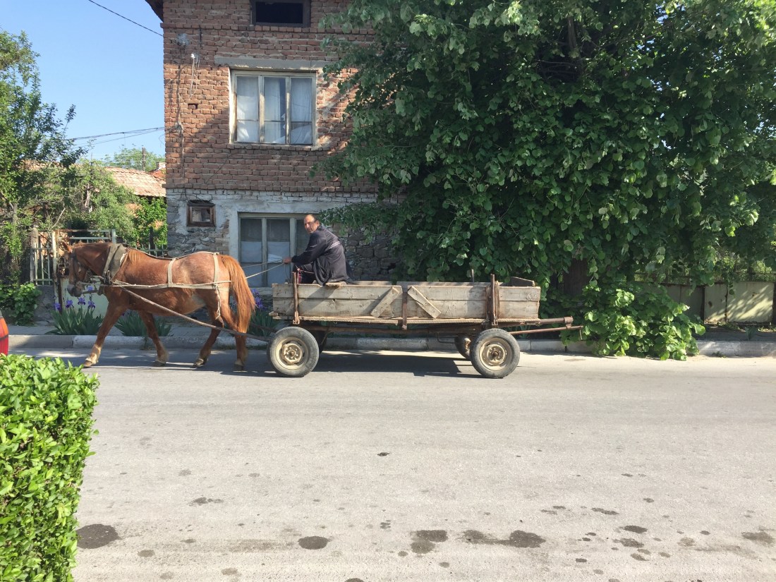 0513_006_Kovachevica